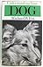 Understanding Your Dog: Everything You Want to Know About Your Dog but Haven't Been Able to Ask Him