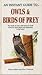 An Instant Guide to Owls & Birds of Prey