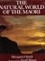 The Natural World of the Maori