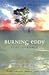 Burning Eddy