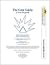 The Great Gatsby (SparkNotes Literature Guide)