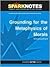 Grounding for the Metaphysi...