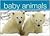 Baby Animals (Brick Book Se...