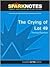 The Crying of Lot 49 (SparkNotes Literature Guide Series)