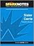 Sister Carrie (SparkNotes Literature Guide Series)