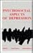 Psychosocial Aspects of Depression by Joseph Becker