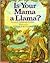 Is Your Mama a Llama?