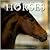 The Book of Horses