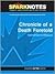 Chronicle of a Death Foretold (SparkNotes Literature Guide Series)