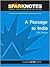 A Passage to India (SparkNotes Literature Guide Series)