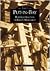 Put-In-Bay: The Construction of Perry's Monument (Images of America: Ohio)