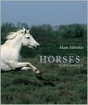 Horses of the Camargue (Hardcover)