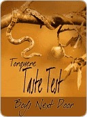 Taste Test: Boys Next Door (Nook)