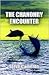The Chanonry Encounter by Stephen Cameron