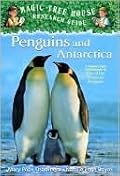 Penguins and Antarctica