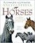 The Complete Illustrated Encyclopedia of Horses
