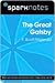 The Great Gatsby (SparkNotes Literature Guide)