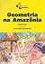 Geometria na Amazônia