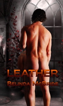 Leather (ebook)