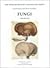 Fungi (Paper Museum of Cassiano Dal Pozzo. Series B: Natural Histor)