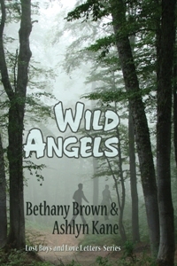 Wild Angels (Lost Boys and Love Letters, #3)
