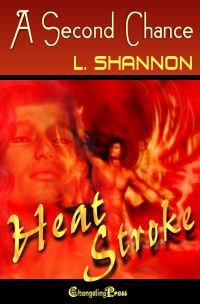 A Second Chance (Chances #2)