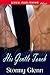 His Gentle Touch by Stormy Glenn