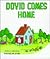 Dovid Comes Home