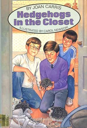 Hedgehogs in the Closet (Hardcover)