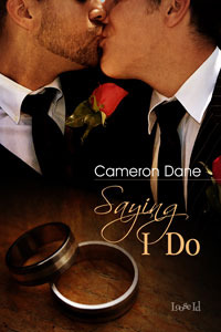 Saying I Do [Quinn Security 3] (Kindle Edition)