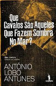Que Cavalos São Aqueles que Fazem Sombra no Mar? (Paperback)
