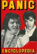 Panic Encyclopedia: The Definitive Guide to the Postmodern Scene (Paperback)