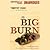 The Big Burn: Teddy Roosevelt and the Fire that Saved America