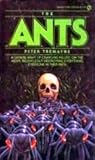 The Ants