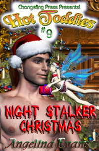 Night Stalker Christmas (Stalker, #2)