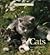 Cats (Perfect Pets)
