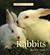 Rabbits (Perfect Pets)