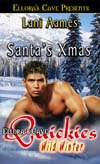 Santa's X-mas