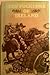 The folklore of Ireland (The Folklore of the British Isles)