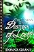 Destiny of Love (The Destiny Stone, #1)