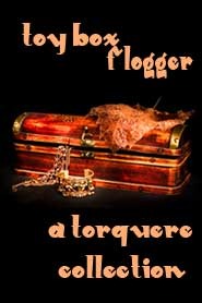 Toy Box: Flogger (Nook)