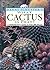 What Cactus is That? :A Comprehensive Guide to over 1000 Species