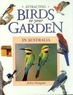 Attracting Birds to Your Garden in Australia