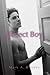 The Perfect Boy (Gay Youth Chronicles)