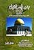 بنو إسرائيل - الجزء الأول - التاريخ by محمد بيومي مهران