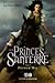 Premier Mal (Les Princes de Santerre, #1)