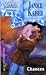Chances (Harlequin Superromance No. 256)