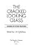 The Cracked Looking Glass: ...