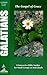 Galatians: The Gospel of Grace (Faith Walk Bible Studies)