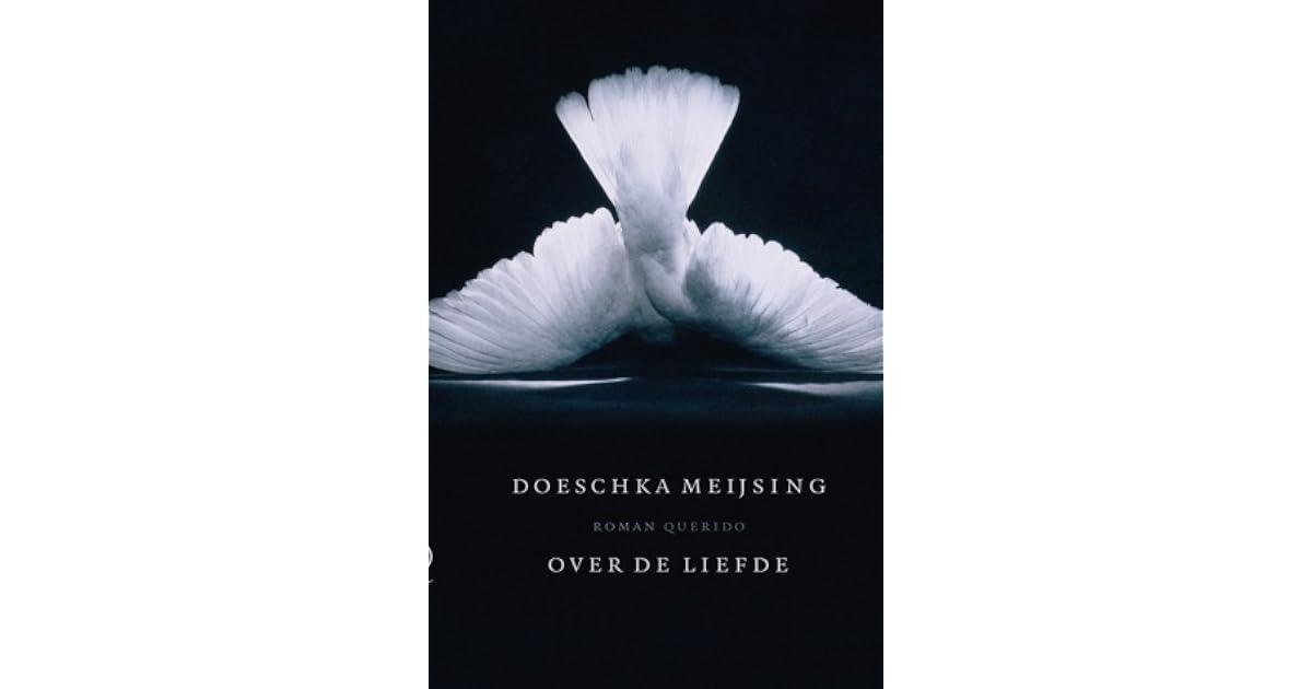 Over de liefde by Doeschka Meijsing